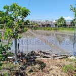 Toko Pagar Besi BRC Bangka Tengah Koba