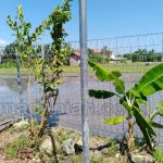 Toko Pagar Besi BRC Lombok Barat Gerung