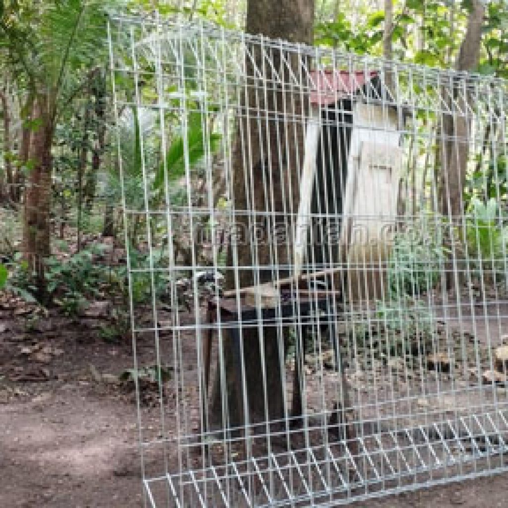 Pabrik Produsen Toko Pagar BRC Panjatan Kulon Progo