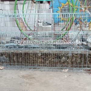 Pabrik Produsen Toko Pagar BRC Mertoyudan Jawa Tengah
