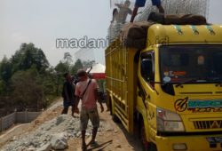 Pengiriman Pagar BRC Bandar Lampung Pengiriman Pagar BRC Bandar Lampung