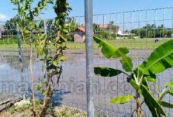 Toko Pagar Besi BRC Barito Kuala Marabahan Toko Pagar Besi BRC Barito Kuala Marabahan