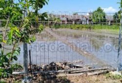 Toko Pagar Besi BRC Lhoksukon Aceh Utara Toko Pagar Besi BRC Lhoksukon Aceh Utara